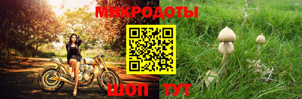 Павлово  Галлюциногенные грибы мицелий  Псилоцибиновые грибы Psilocybe  Вход с VPN 